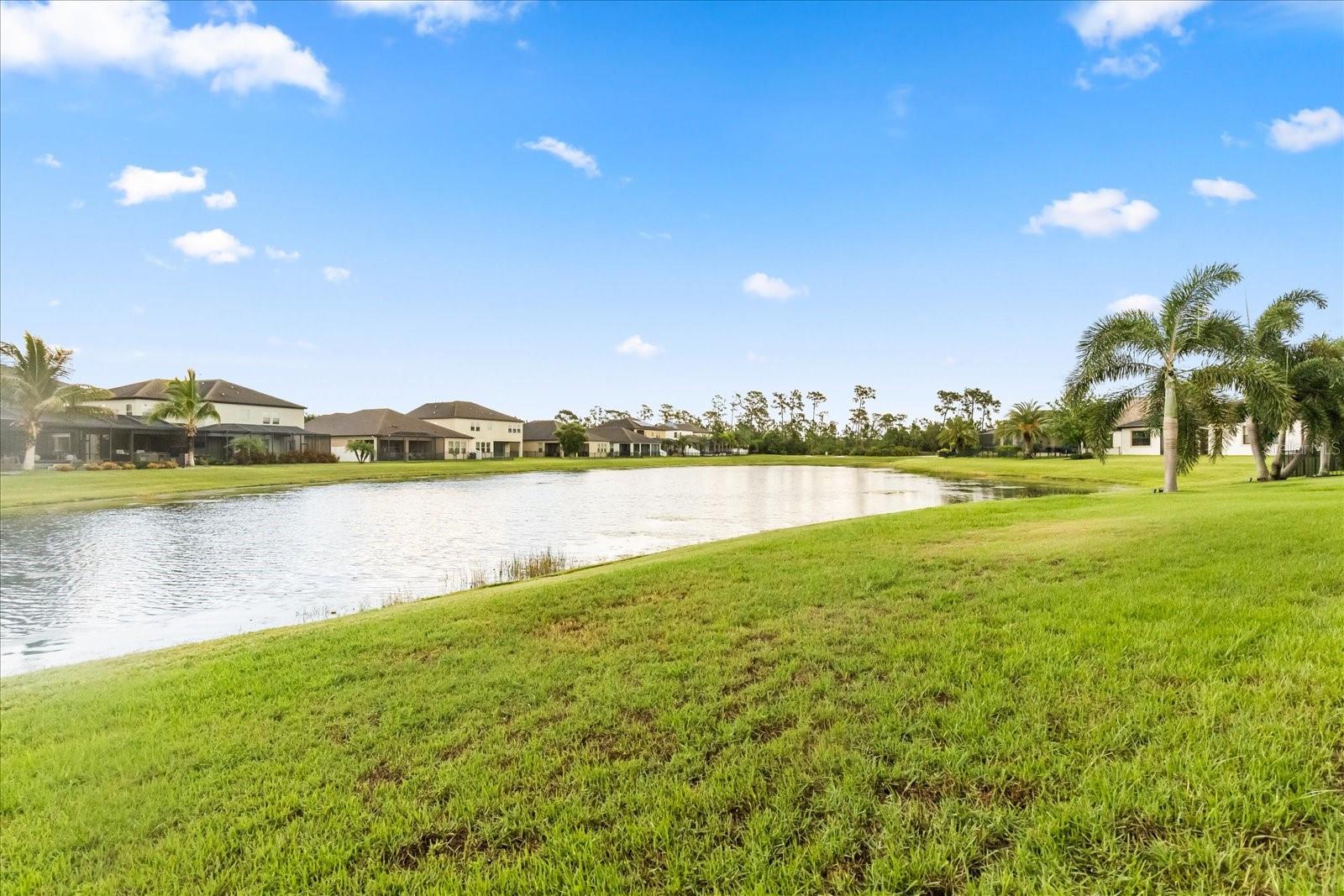 Image 36 of 52 For 11807 Cross Vine Drive