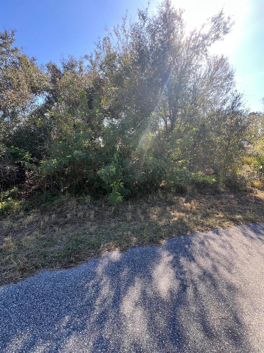 Image 3 of 7 For 0 Rabbitt Avenue