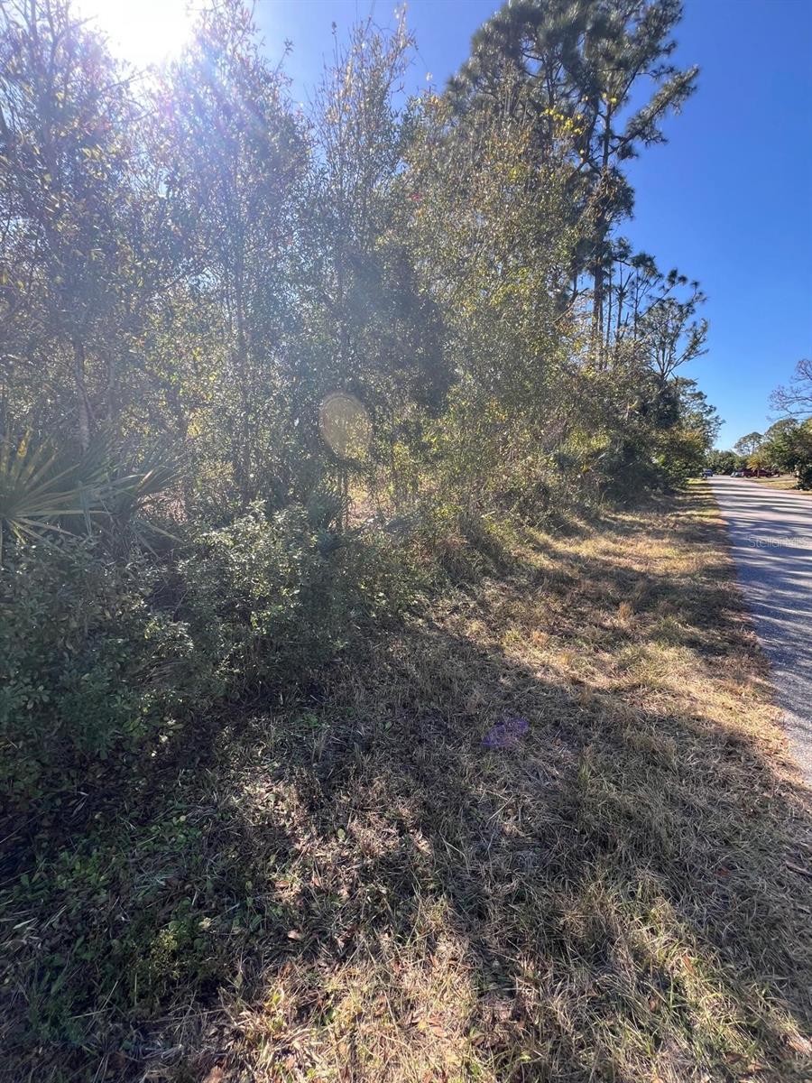 Image 5 of 7 For 0 Rabbitt Avenue