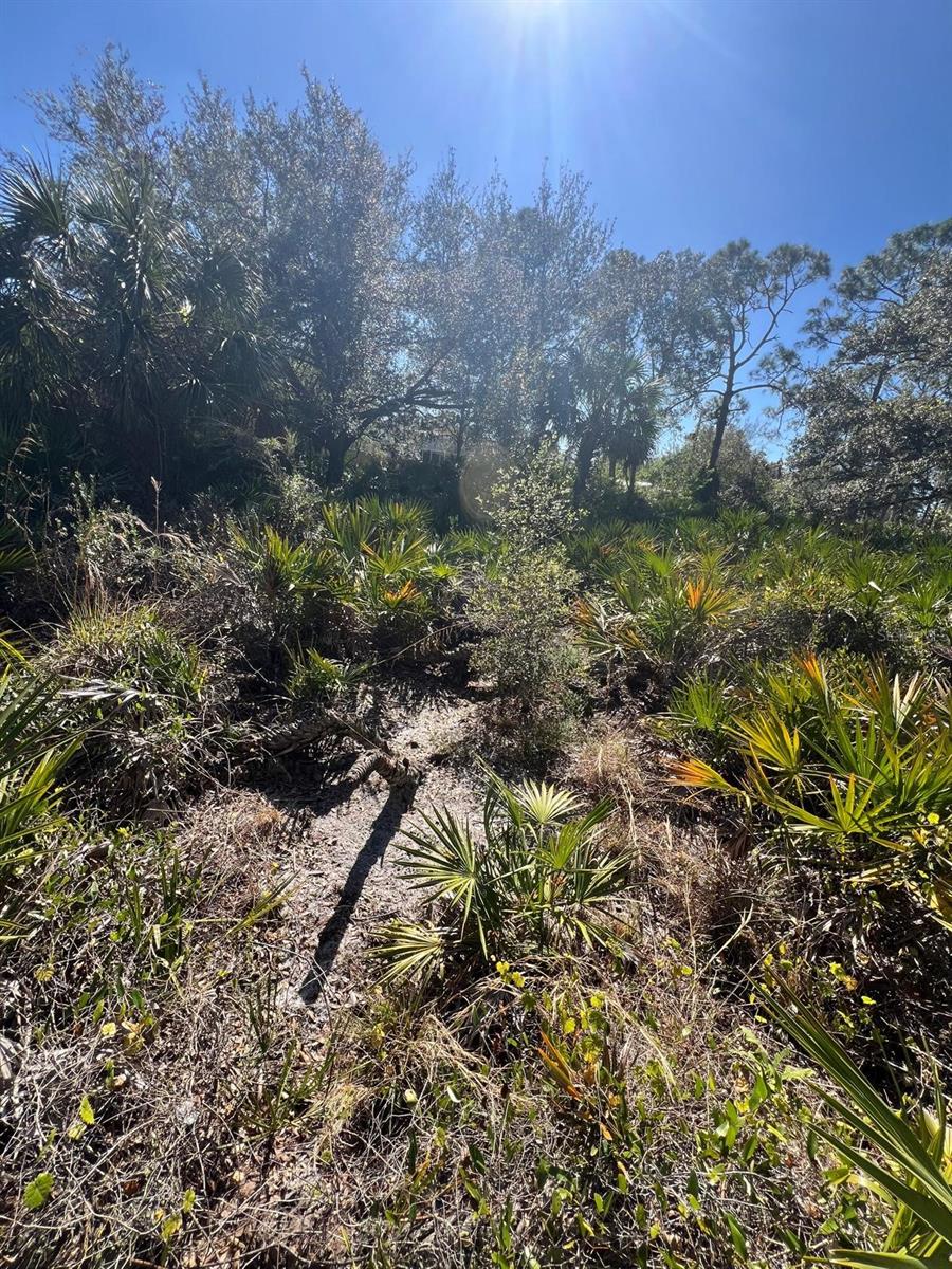 Image 6 of 7 For 0 Rabbitt Avenue