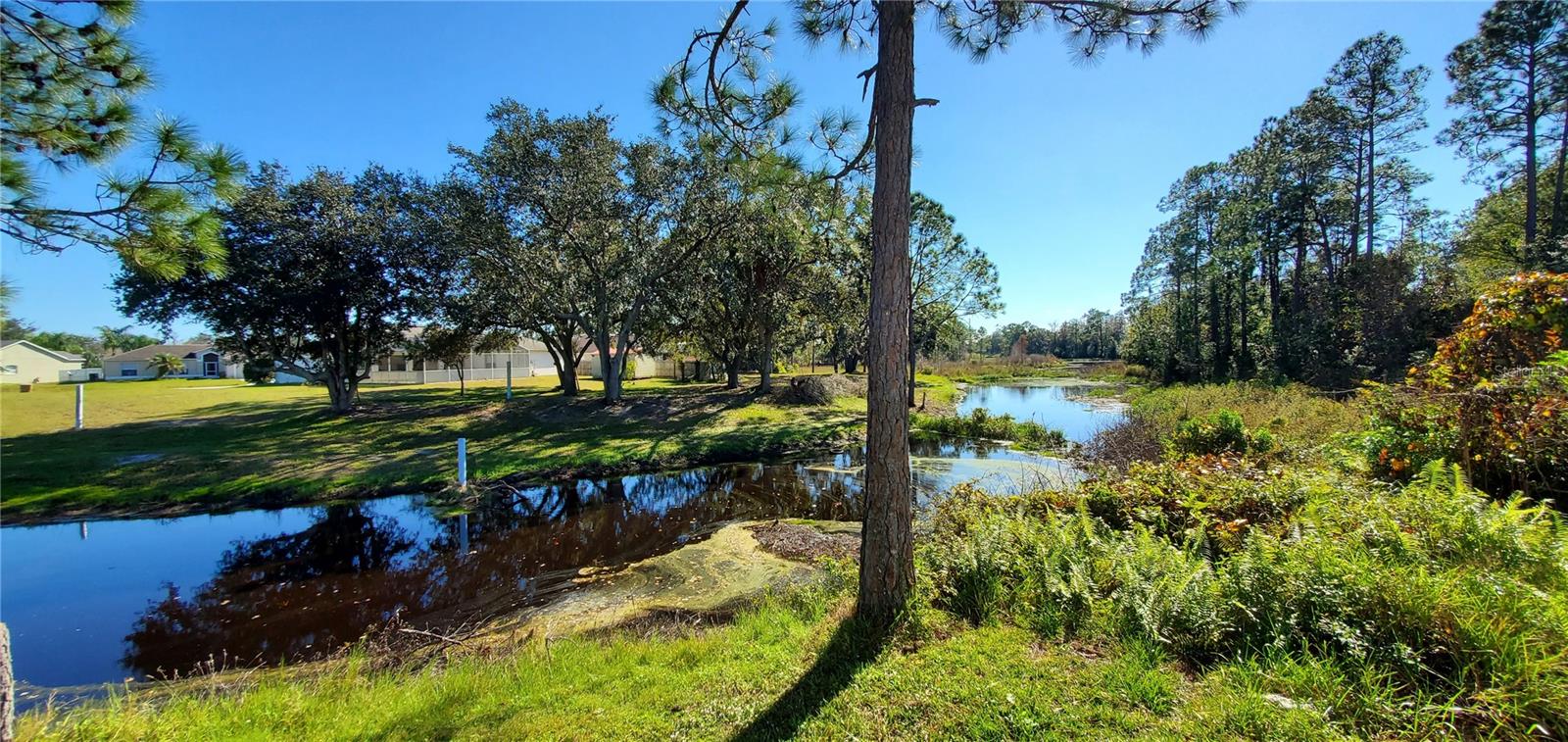 Image 20 of 30 For 536 Pinehurst Cove
