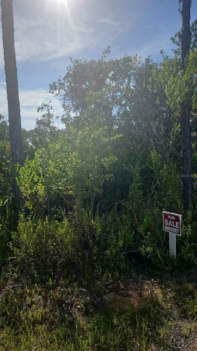 Image 2 of 15 For 5037 Oak Road