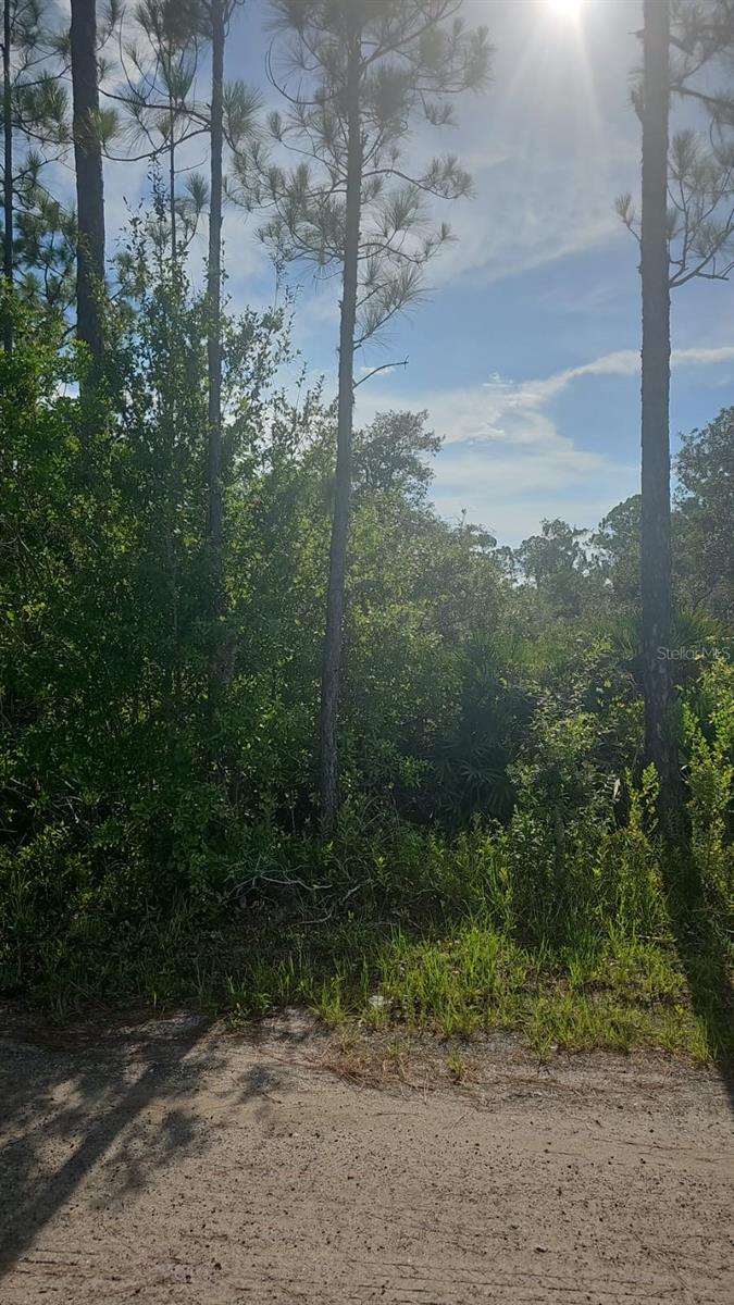 Image 5 of 15 For 5037 Oak Road