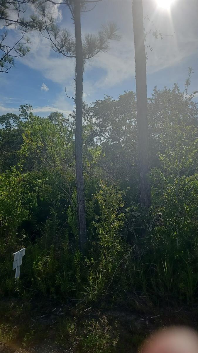Image 8 of 15 For 5037 Oak Road