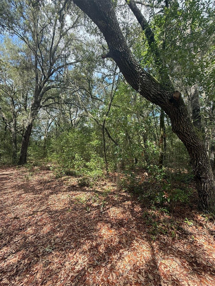 Details for Lot 132 Duncan Avenue, INTERLACHEN, FL 32148