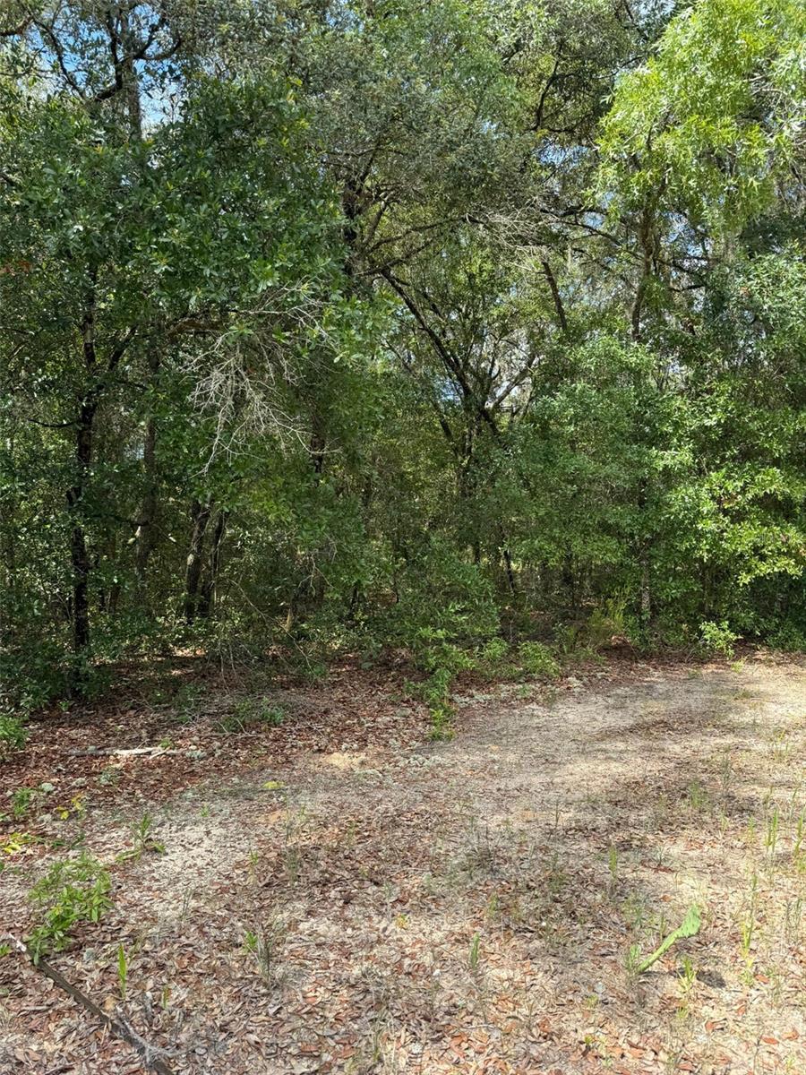 Image 2 of 6 For Lot 132 Duncan Avenue