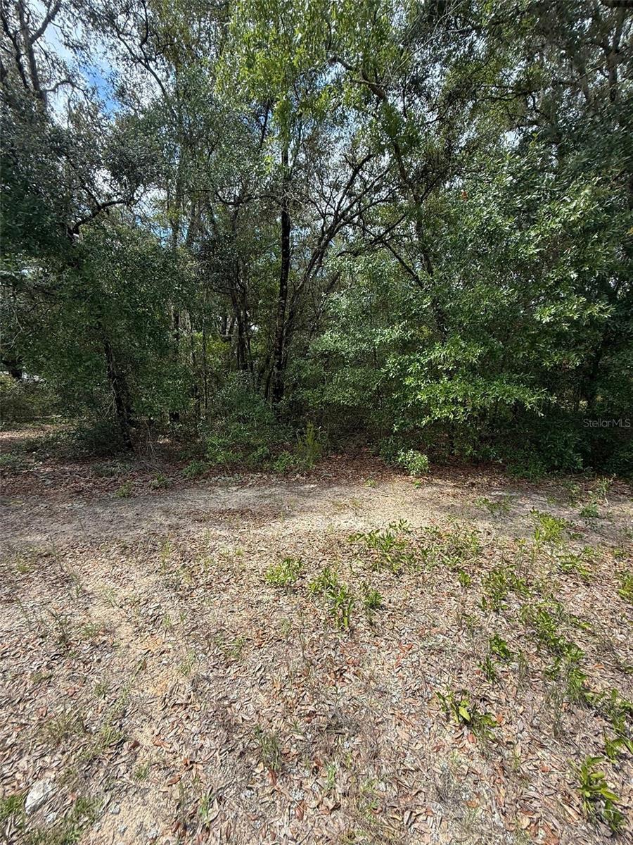 Image 4 of 6 For Lot 132 Duncan Avenue