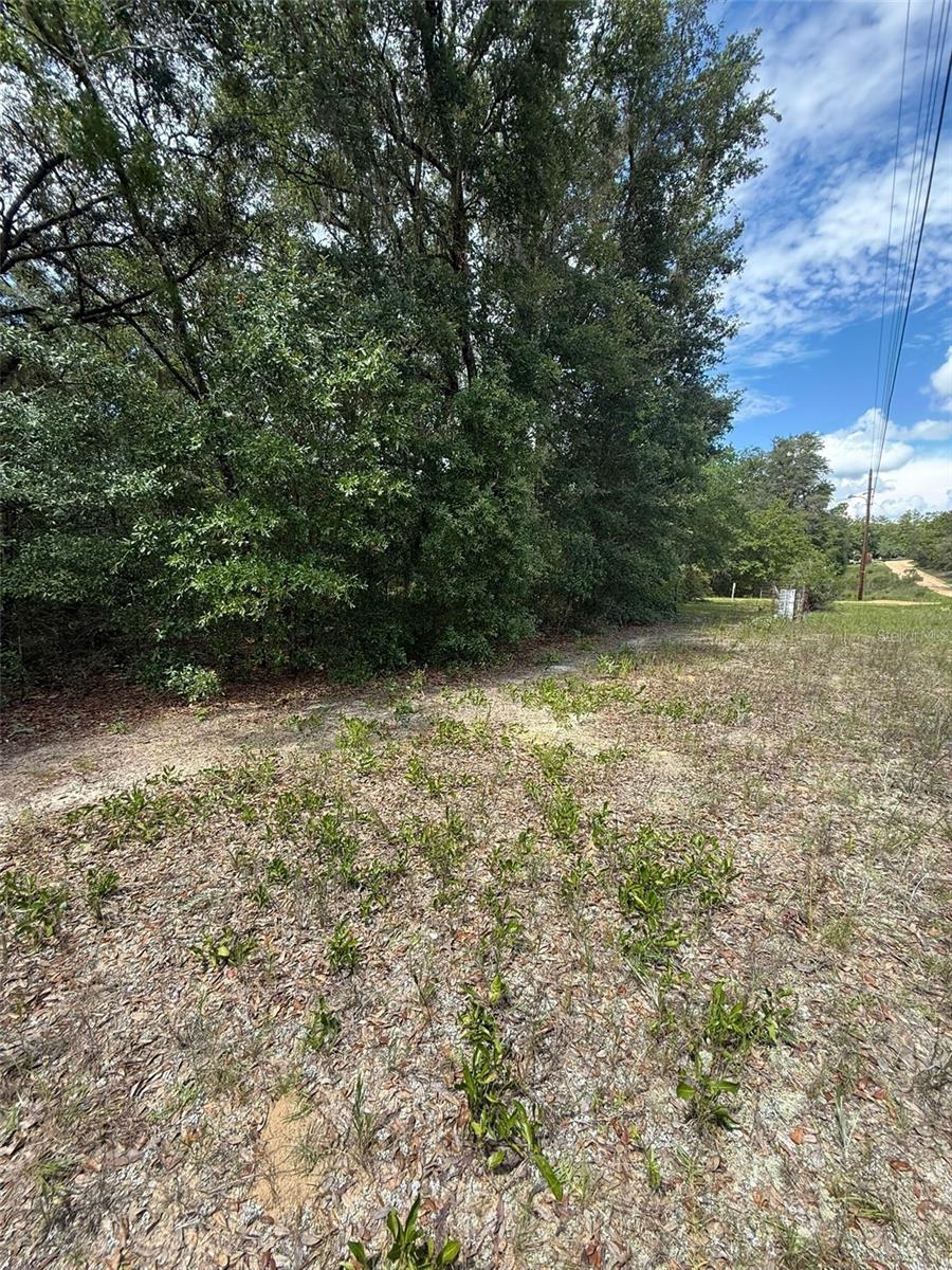 Image 5 of 6 For Lot 132 Duncan Avenue