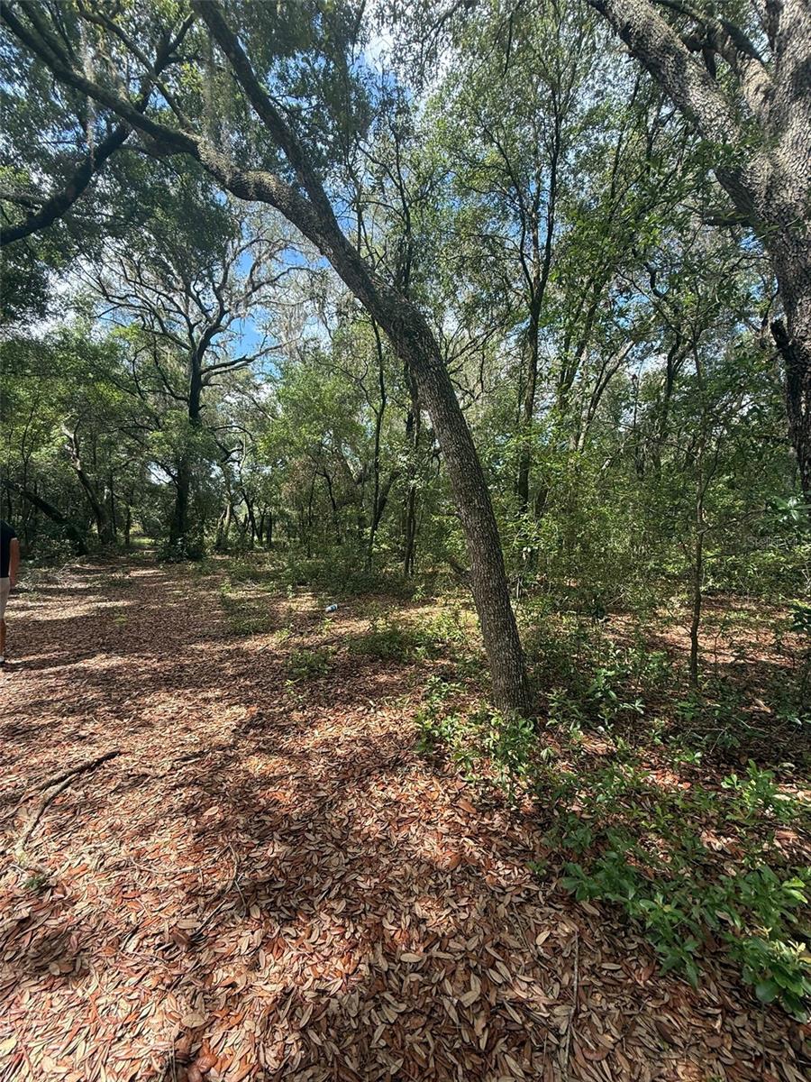 Image 6 of 6 For Lot 132 Duncan Avenue