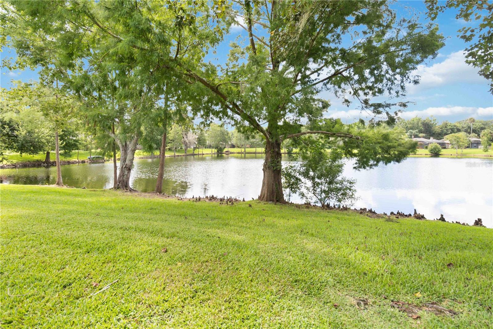 Image 15 of 69 For 817 Shallow Brook Avenue