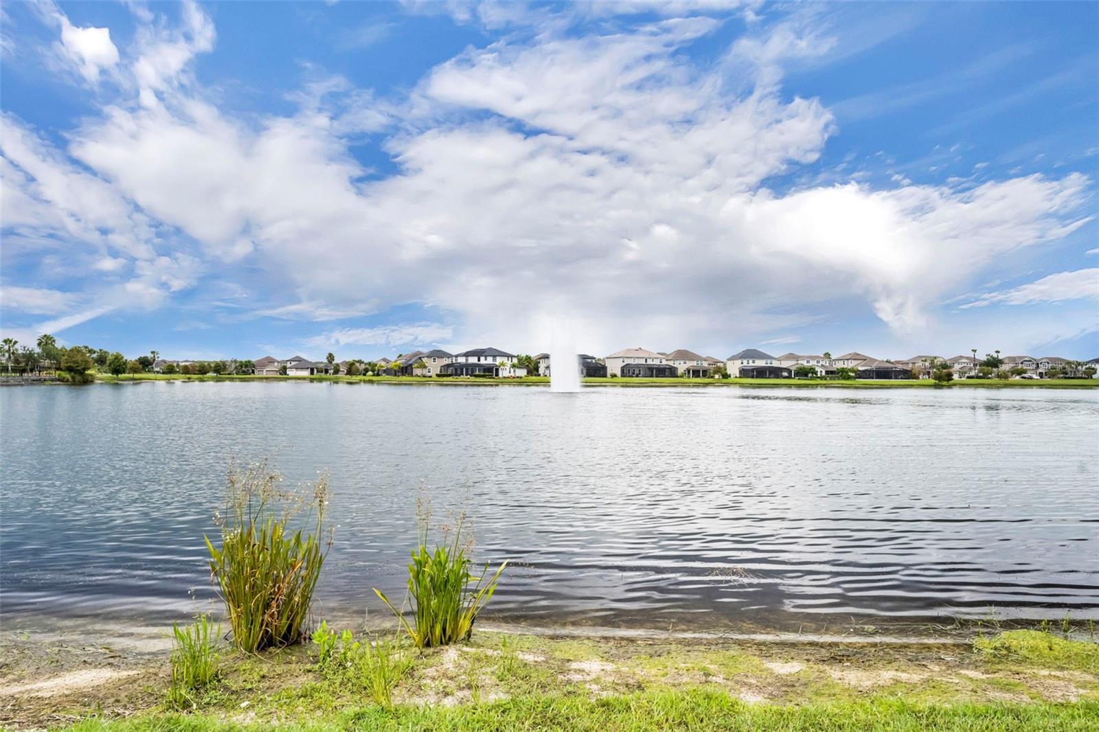 Image 50 of 67 For 2490 Seggolia Lane