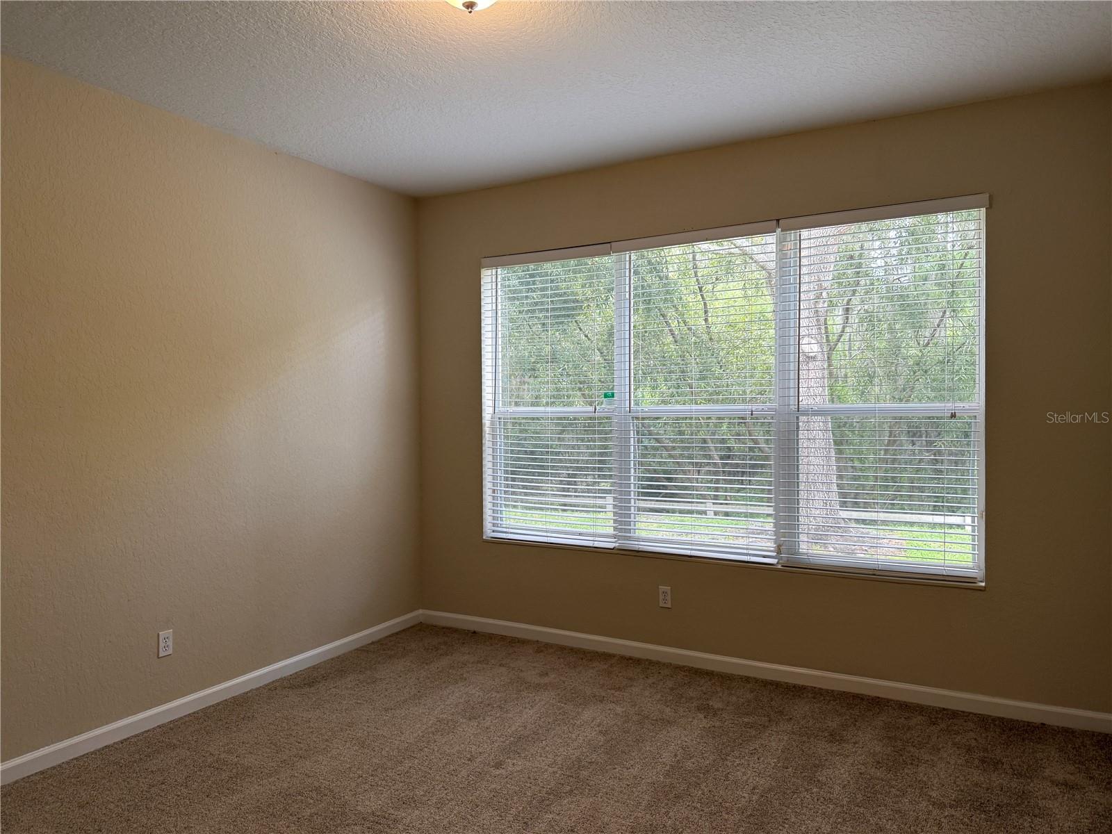 Image 15 of 28 For 1619 Malon Bay Drive