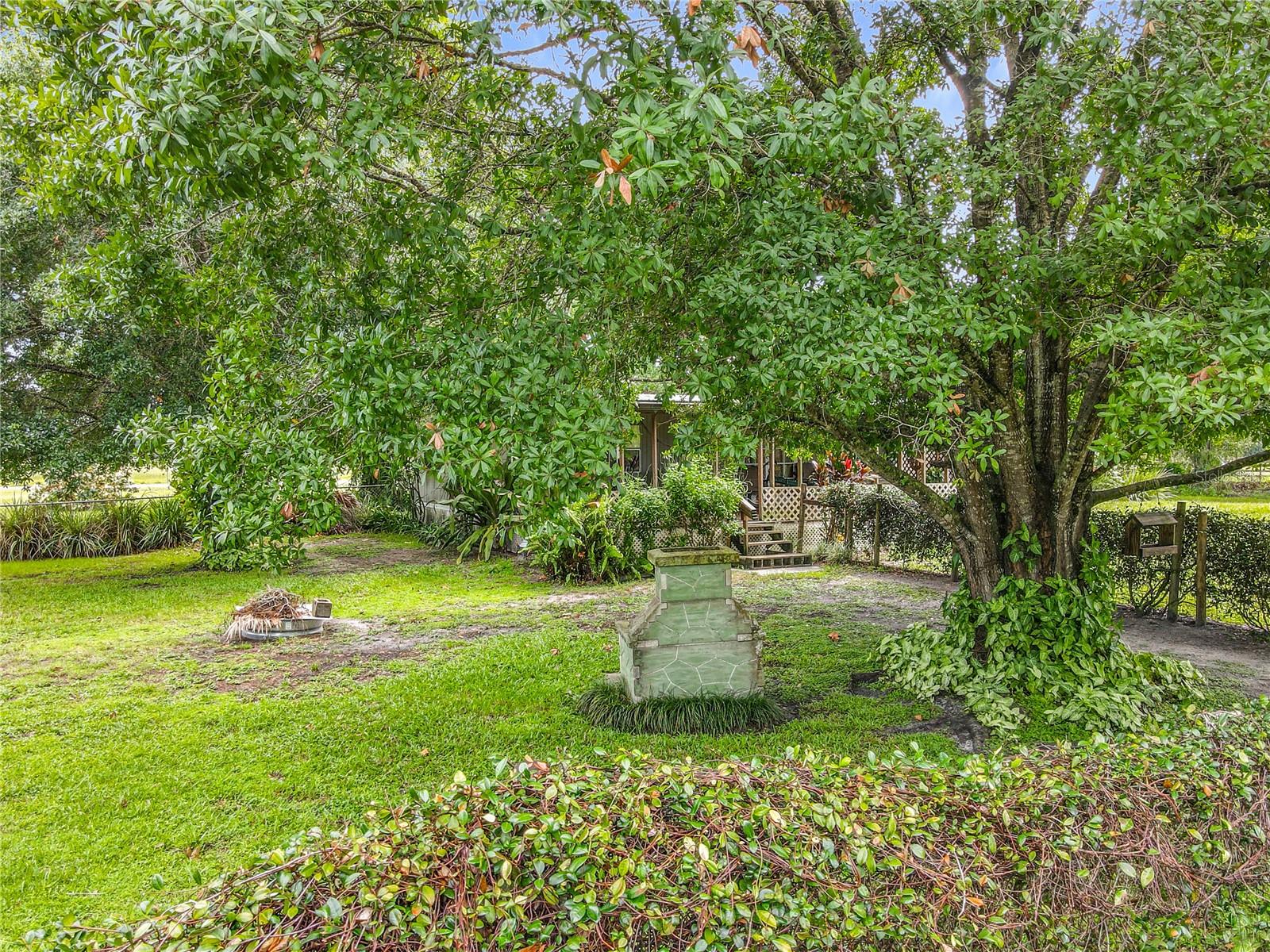 Image 52 of 67 For 827 Grant Bass Road