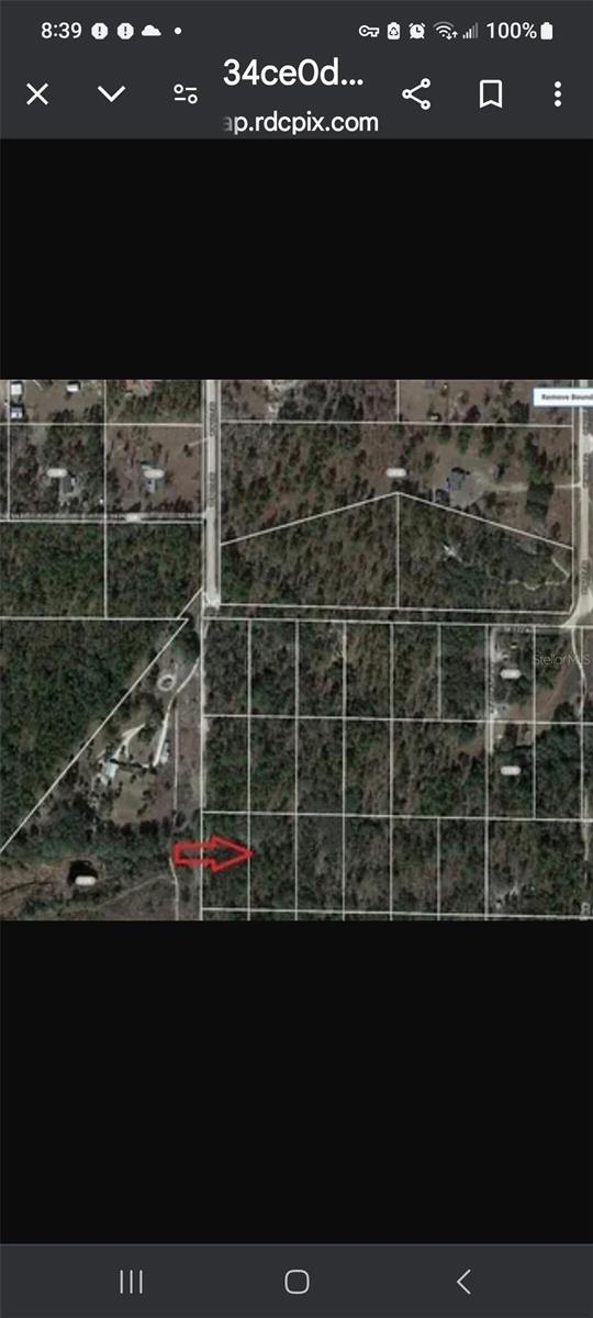 Details for 0 120 Avenue, MORRISTON, FL 32668