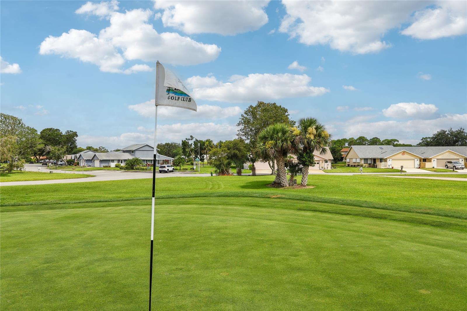 Image 52 of 62 For 102 Golf Club Drive