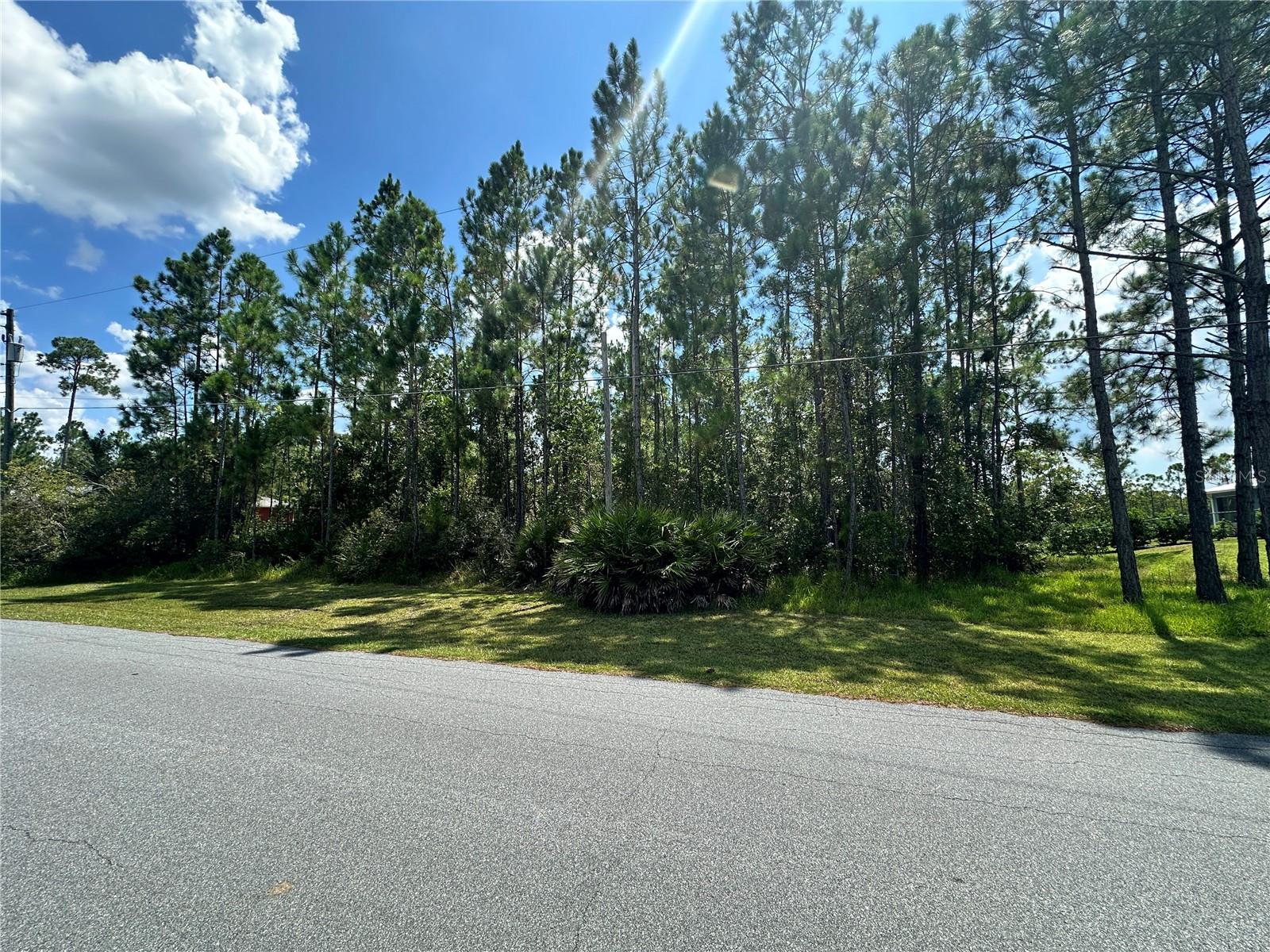 Image 10 of 12 For Cassidy Drive