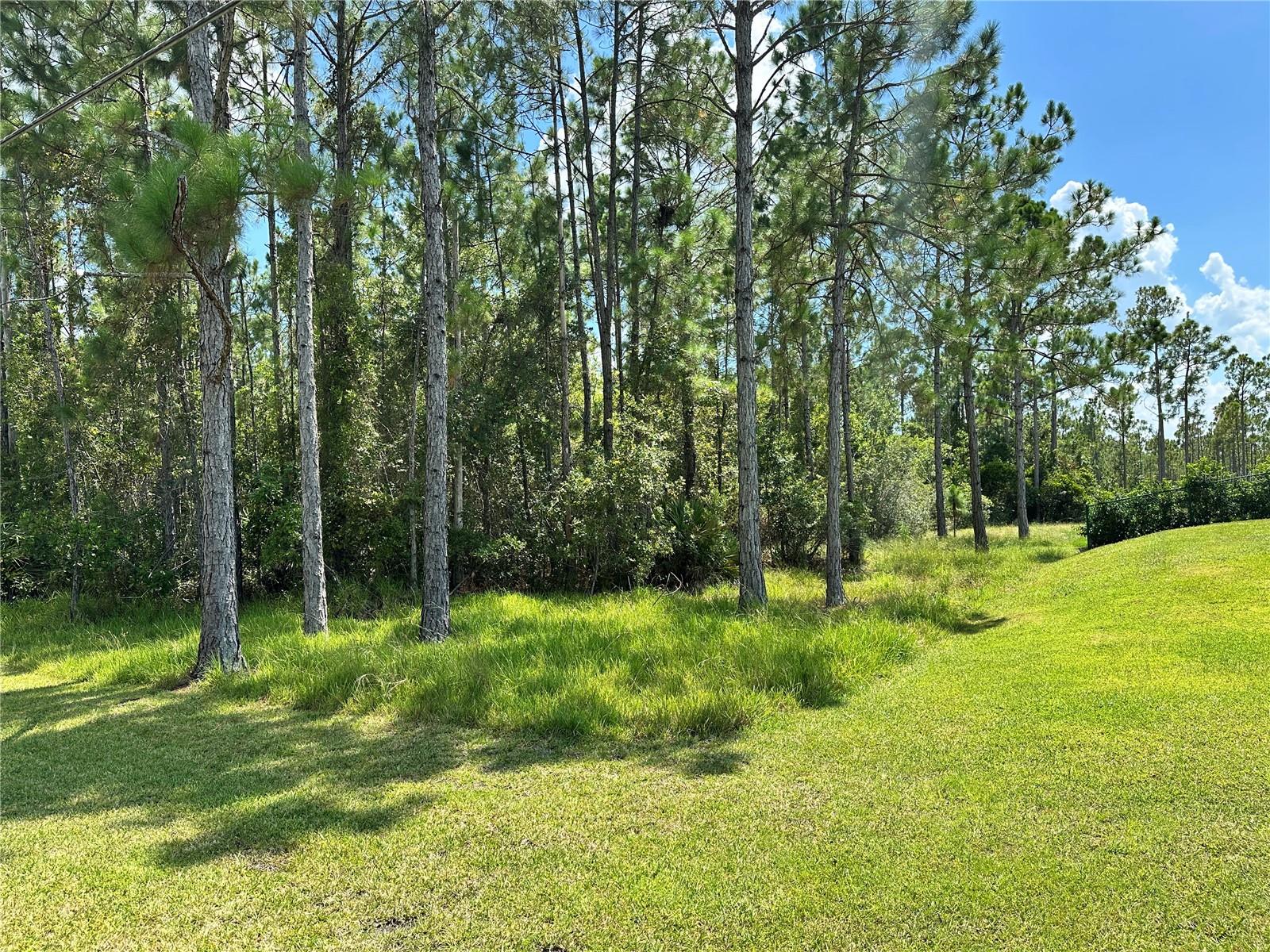 Image 11 of 12 For Cassidy Drive