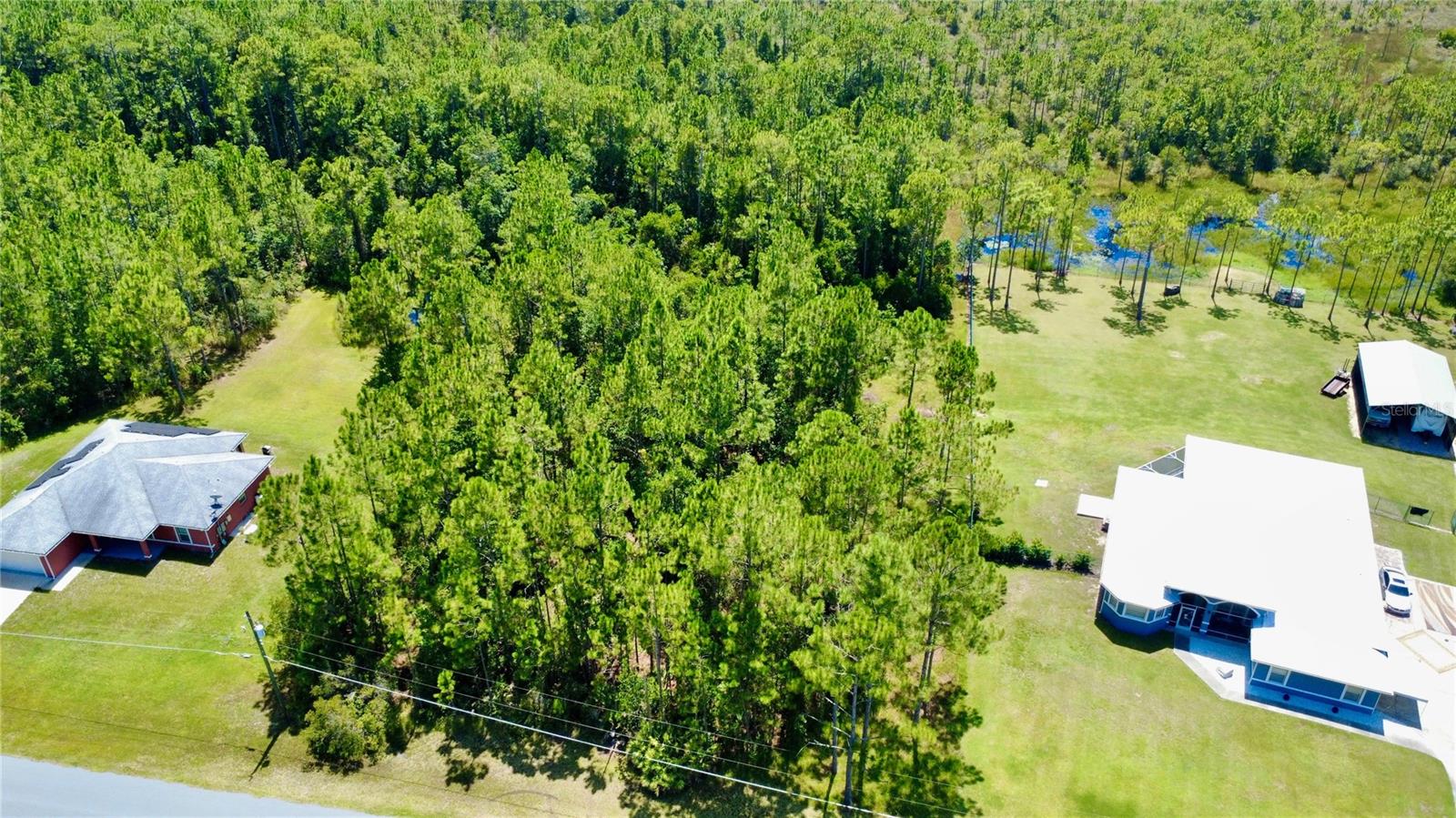 Image 4 of 12 For Cassidy Drive