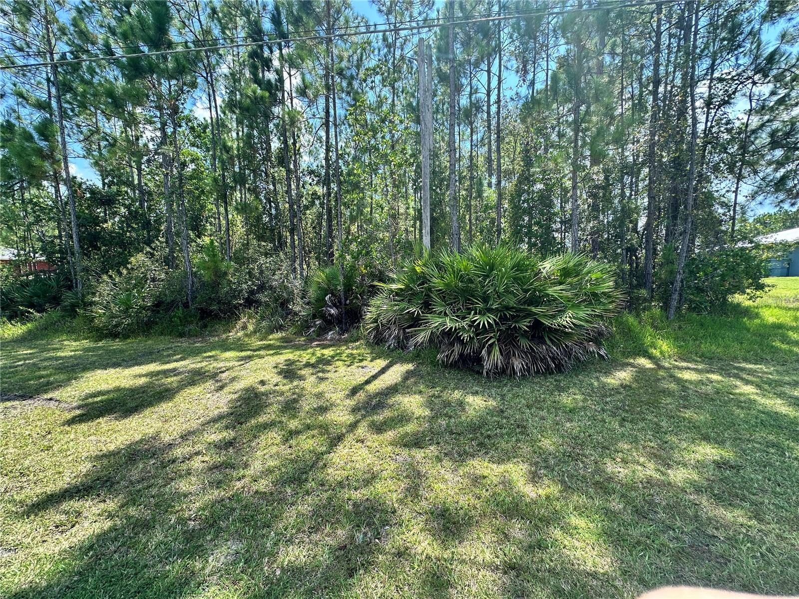 Image 8 of 12 For Cassidy Drive