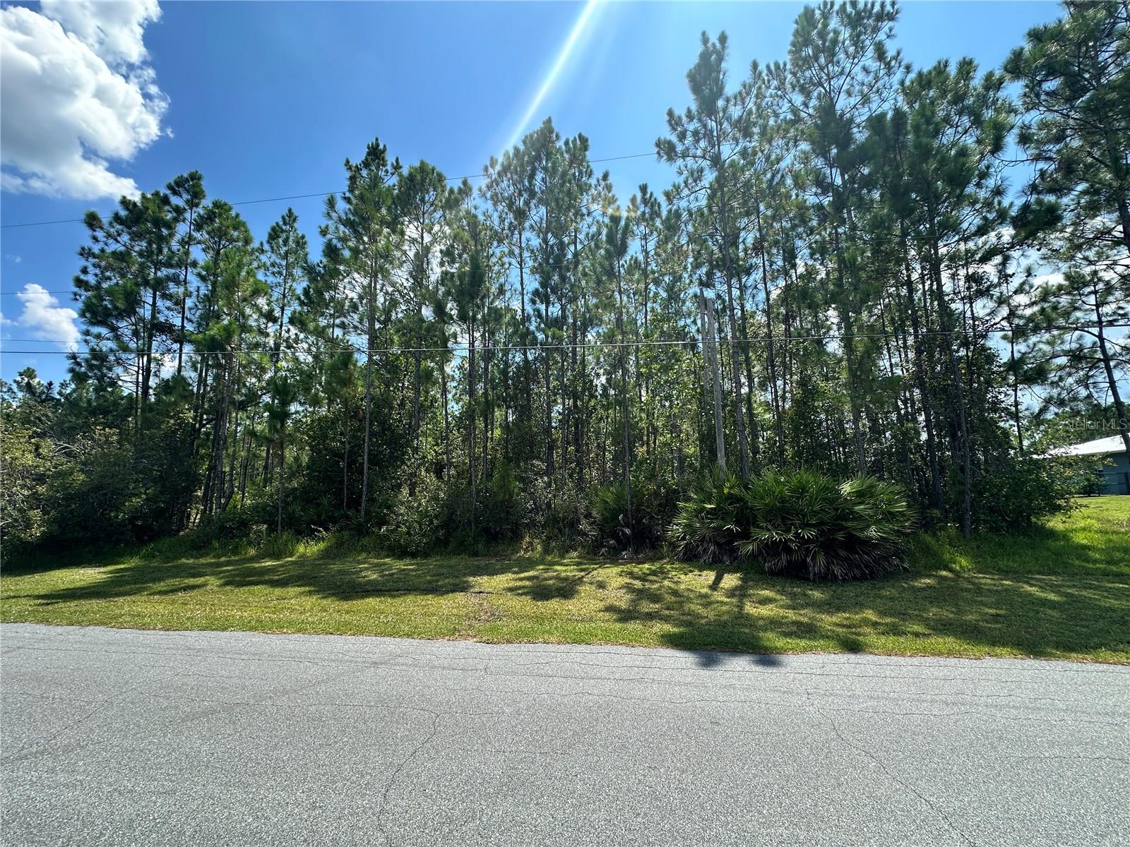 Image 9 of 12 For Cassidy Drive