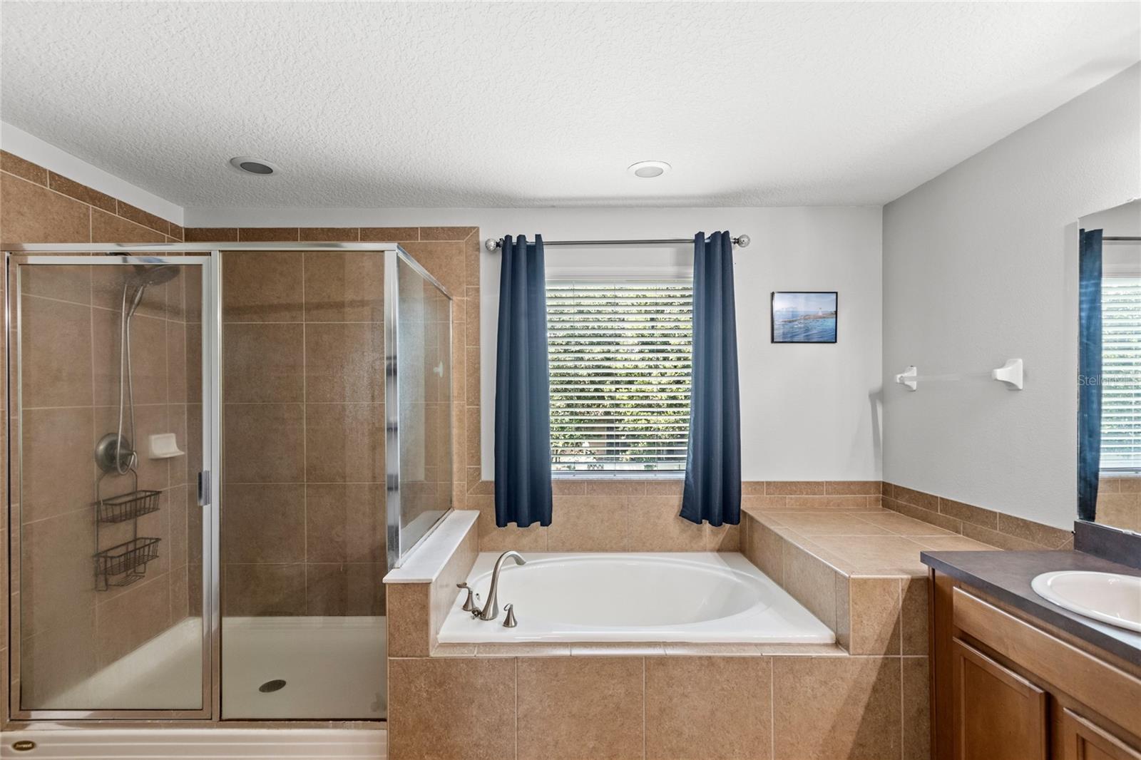 Image 27 of 62 For 13141 Moss Park Ridge Drive