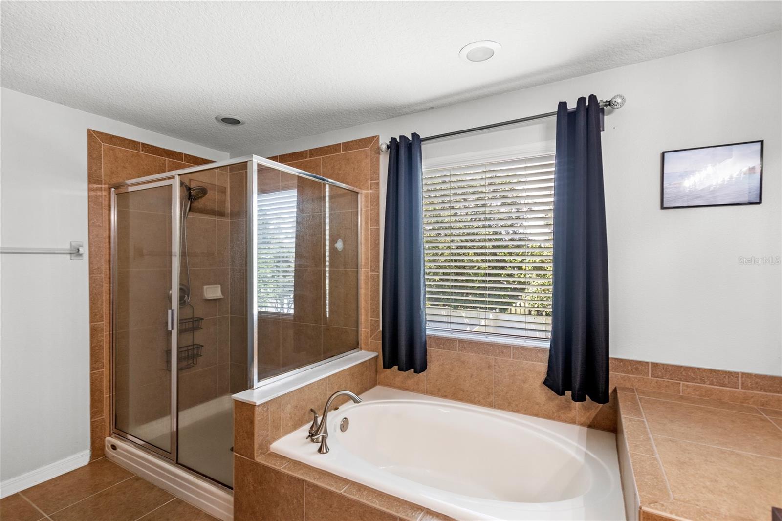Image 28 of 62 For 13141 Moss Park Ridge Drive