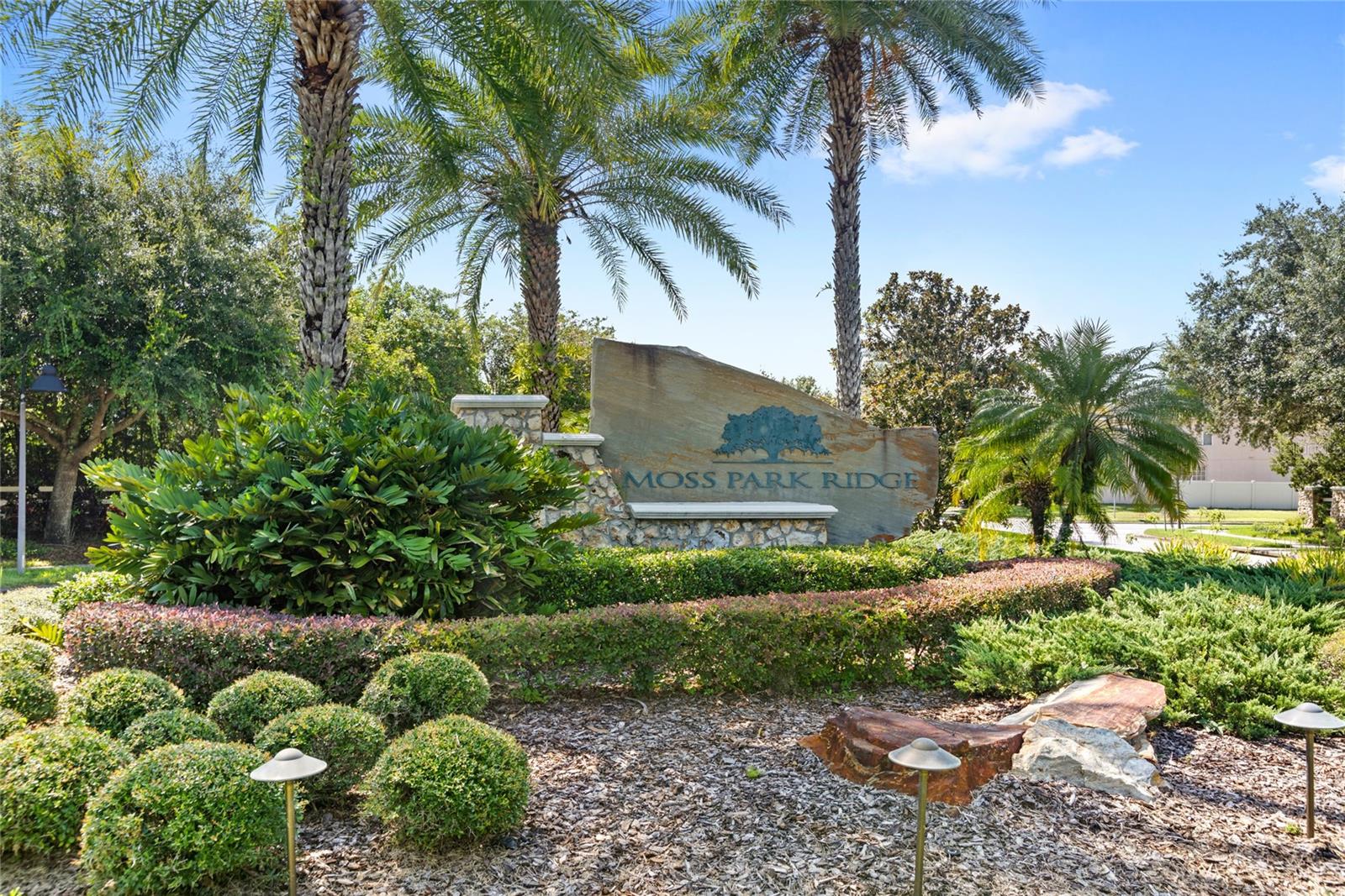 Image 45 of 62 For 13141 Moss Park Ridge Drive