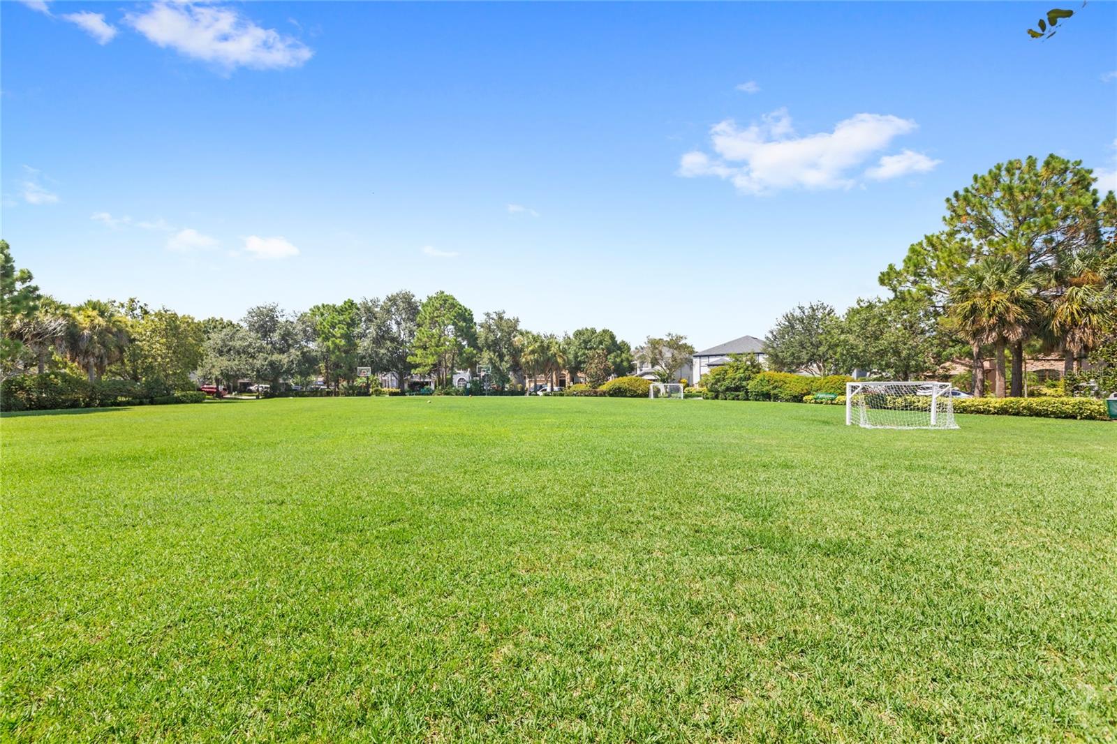 Image 50 of 62 For 13141 Moss Park Ridge Drive