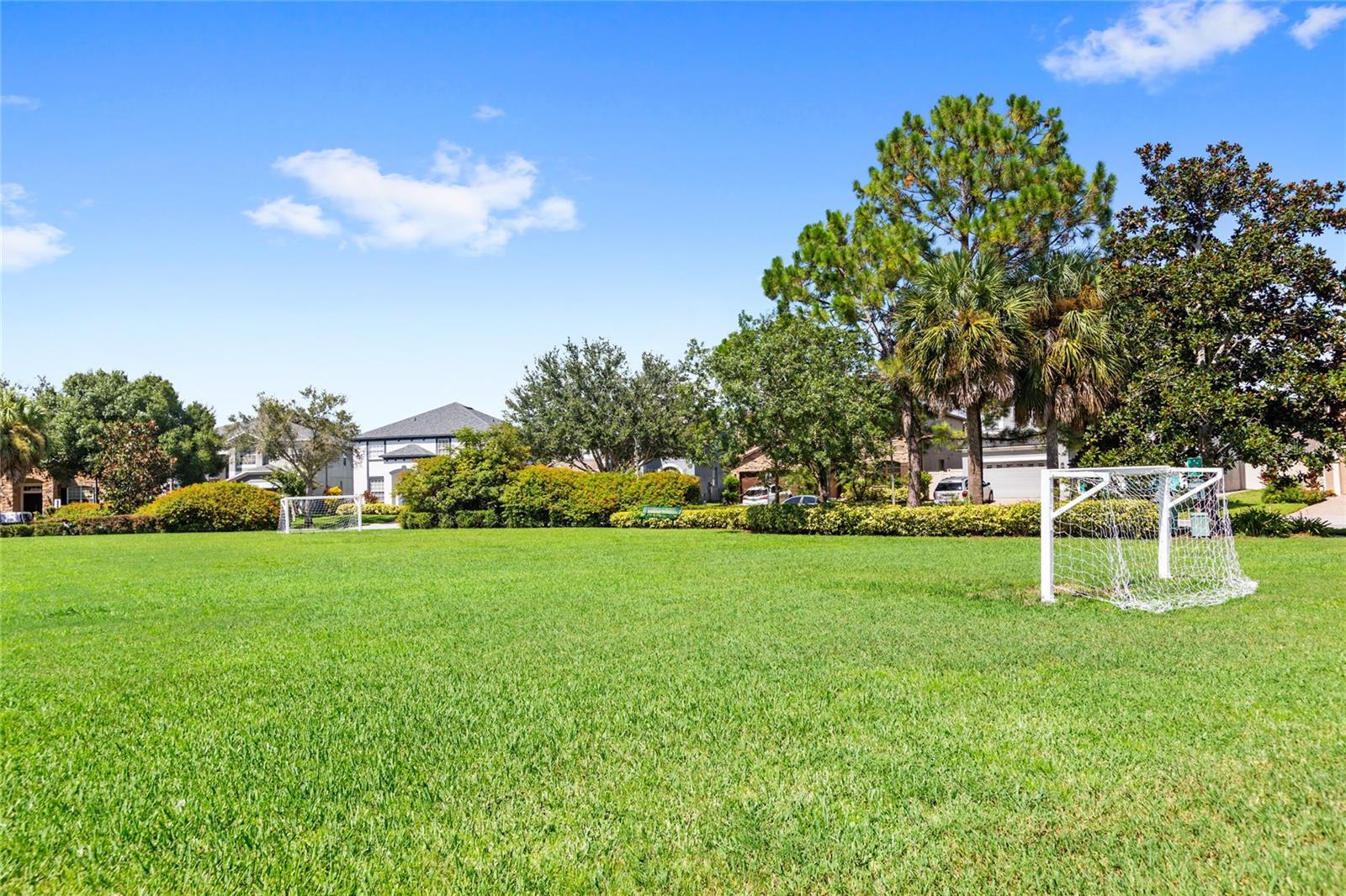 Image 51 of 62 For 13141 Moss Park Ridge Drive