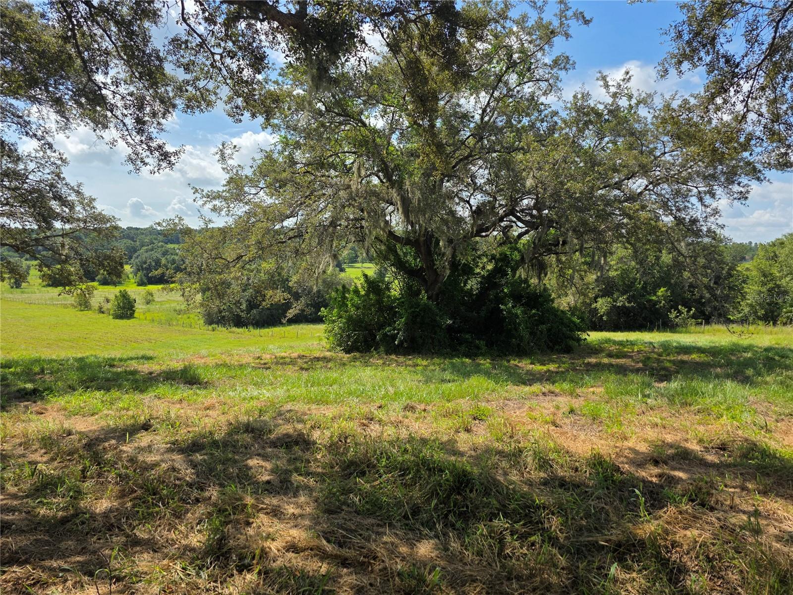 Image 8 of 55 For 20342 Sugarloaf Mountain Road