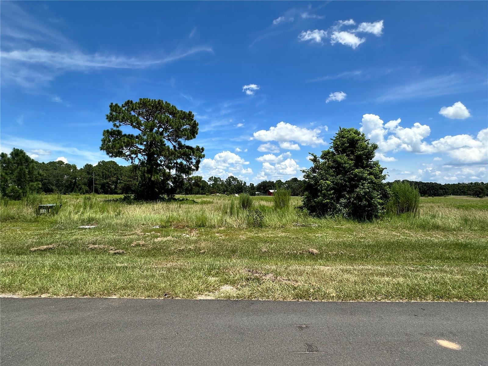 Details for 38796 Ranch Gate Blvd, UMATILLA, FL 32784