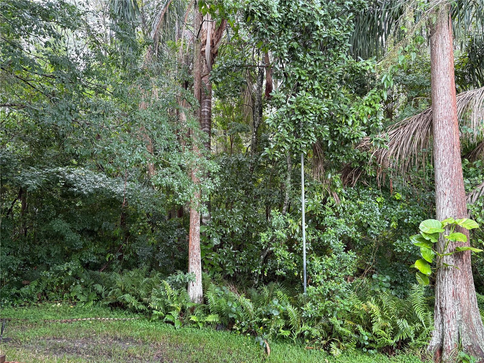 Image 20 of 25 For 11647 Peach Grove Lane