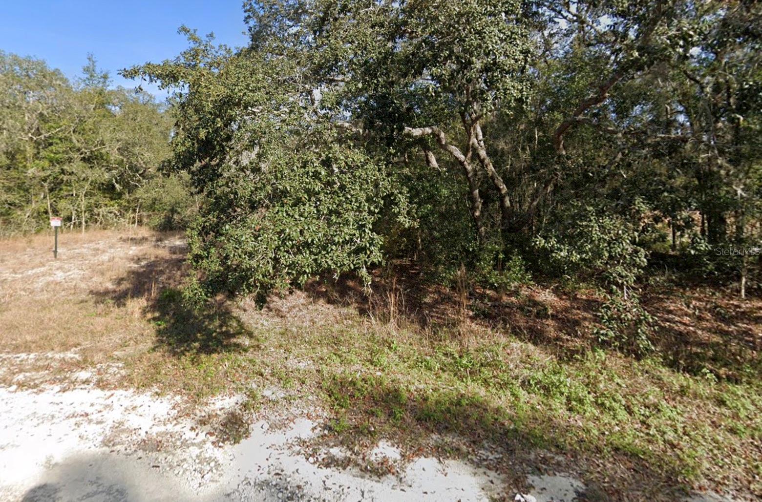 Details for Biltmore Avenue, WEBSTER, FL 33597