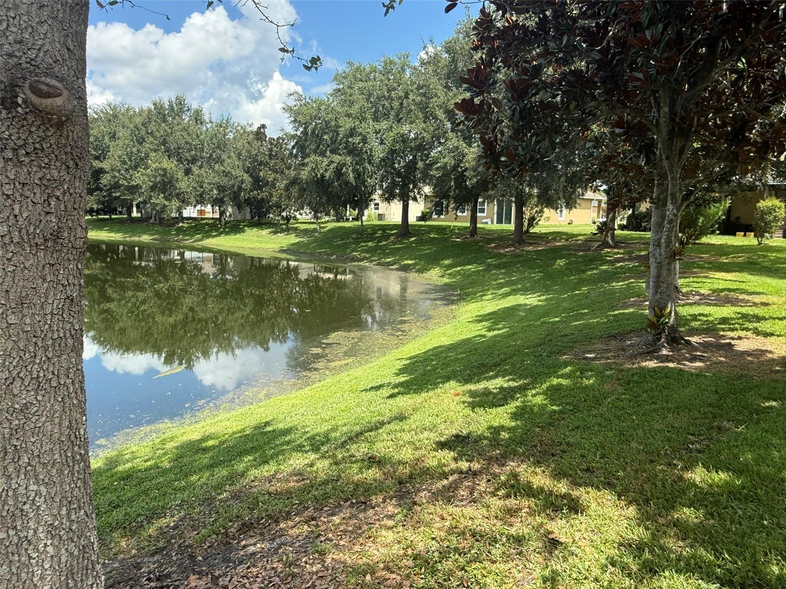 Image 19 of 20 For 2900 Moonstone Bend