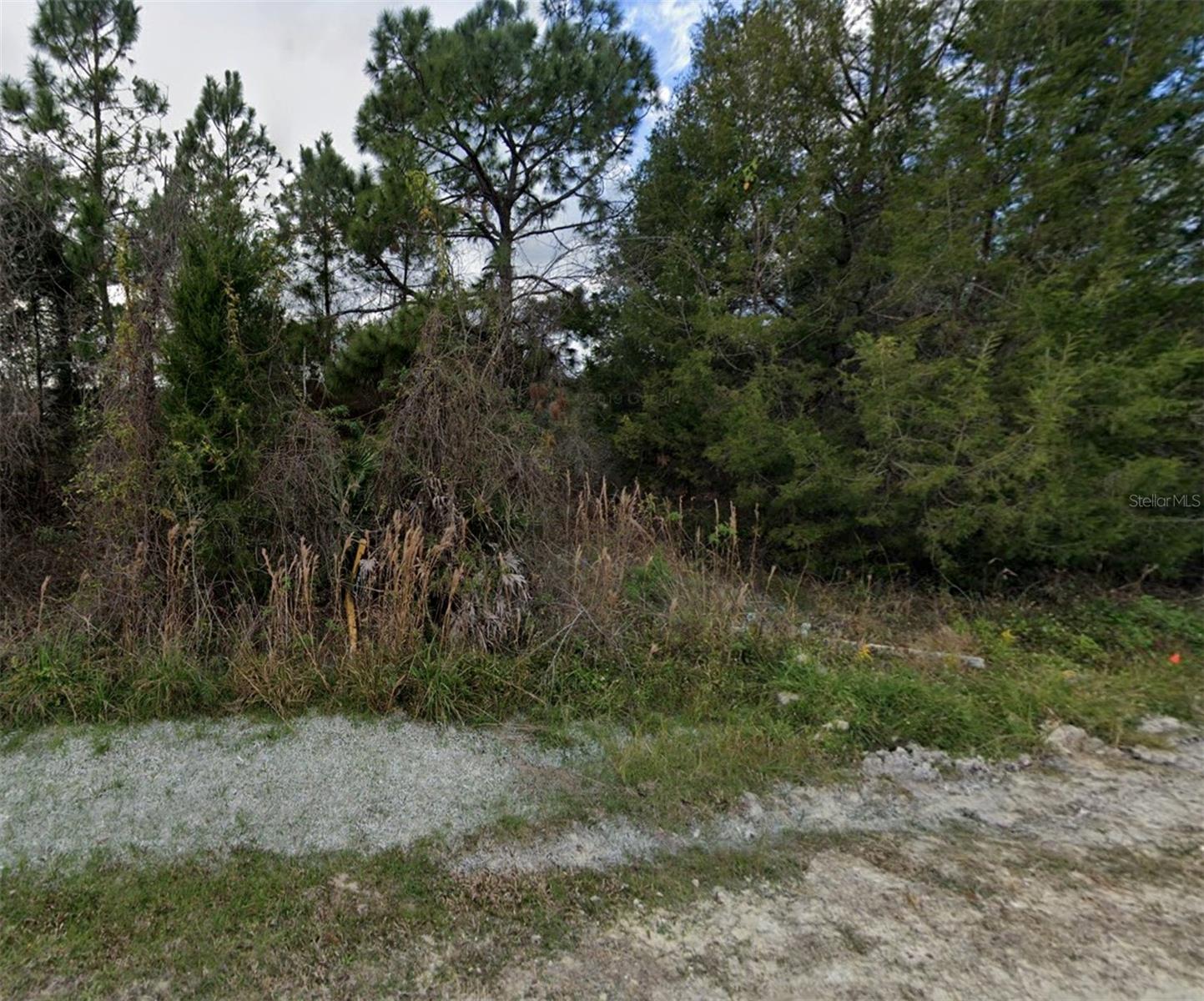Details for Glenchester Drive, WEBSTER, FL 33597