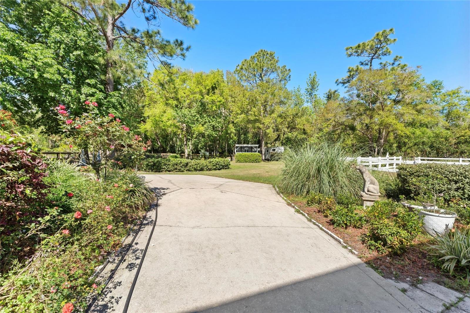 Image 11 of 64 For 3149 Scrub Oak Trail