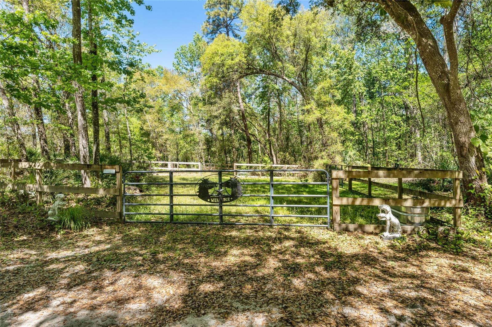 Image 21 of 64 For 3149 Scrub Oak Trail