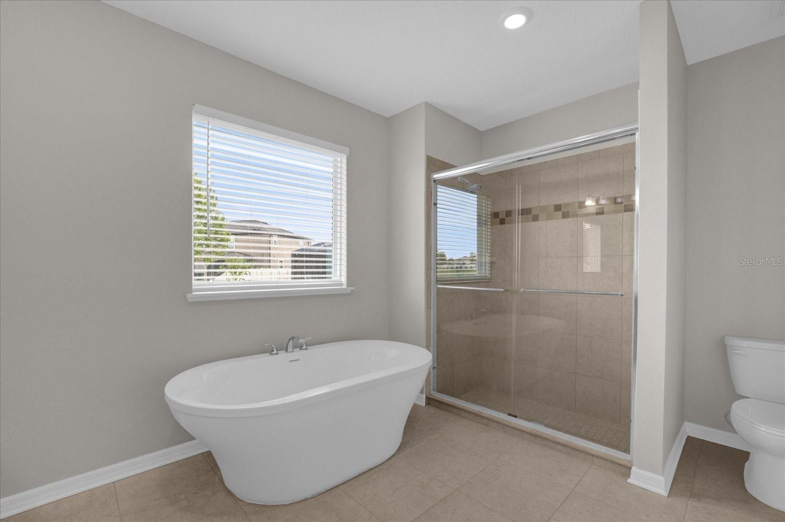 Image 22 of 33 For 8064 Olive Brook Drive
