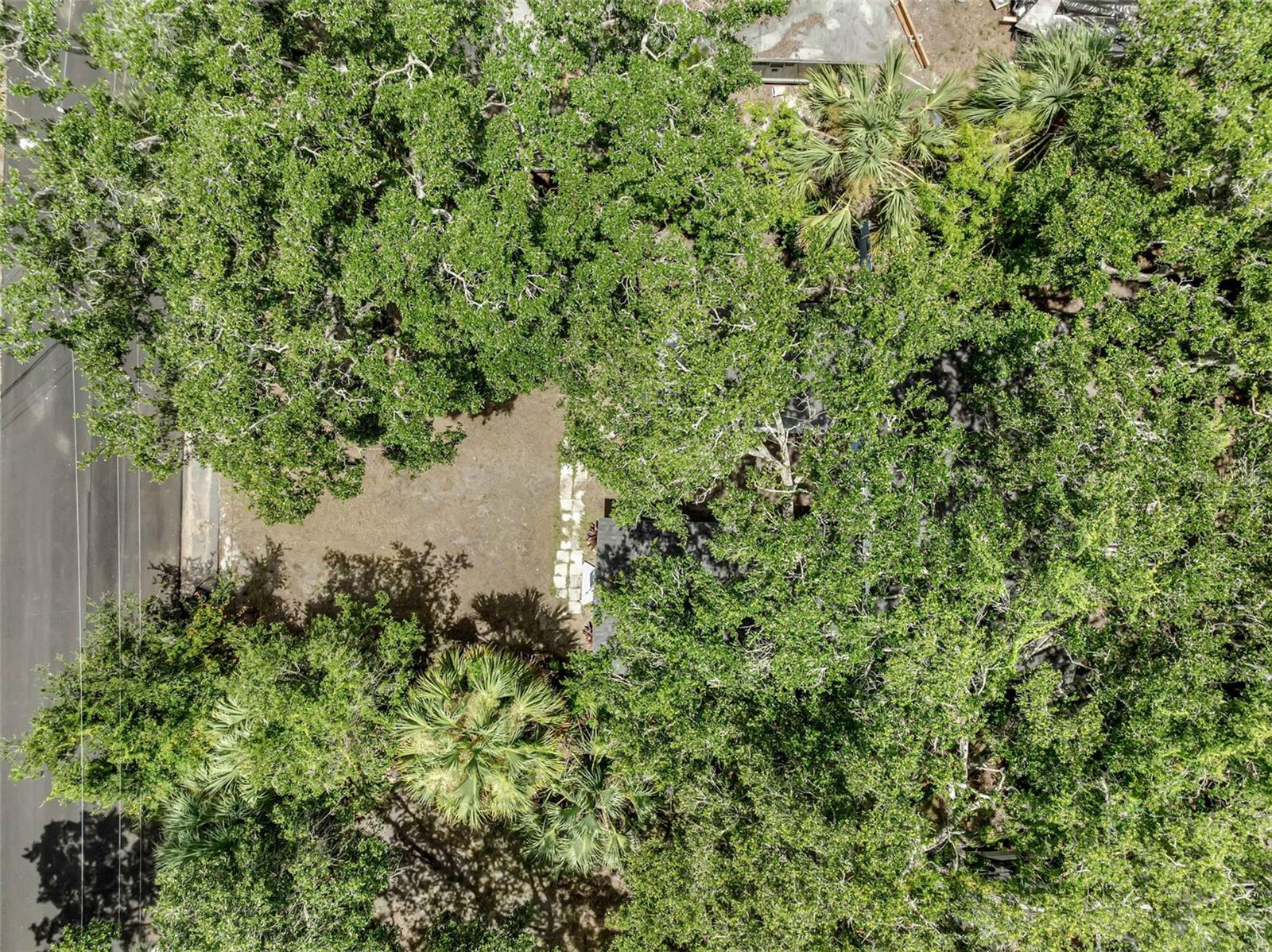 Image 22 of 25 For 813 Magnolia Avenue