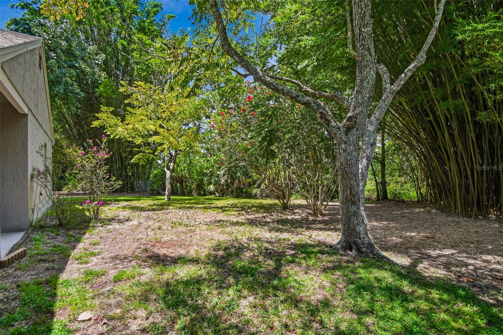 Image 43 of 55 For 3144 Ginger Circle