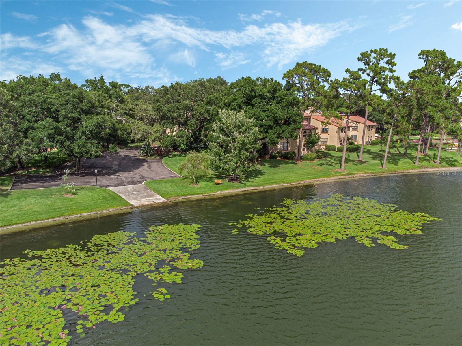 Image 42 of 47 For 1254 Lake Willisara Circle 24