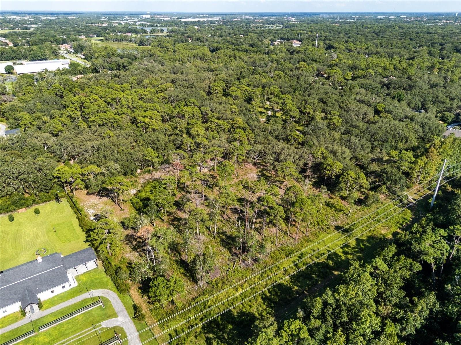Image 5 of 9 For Markham Woods Road