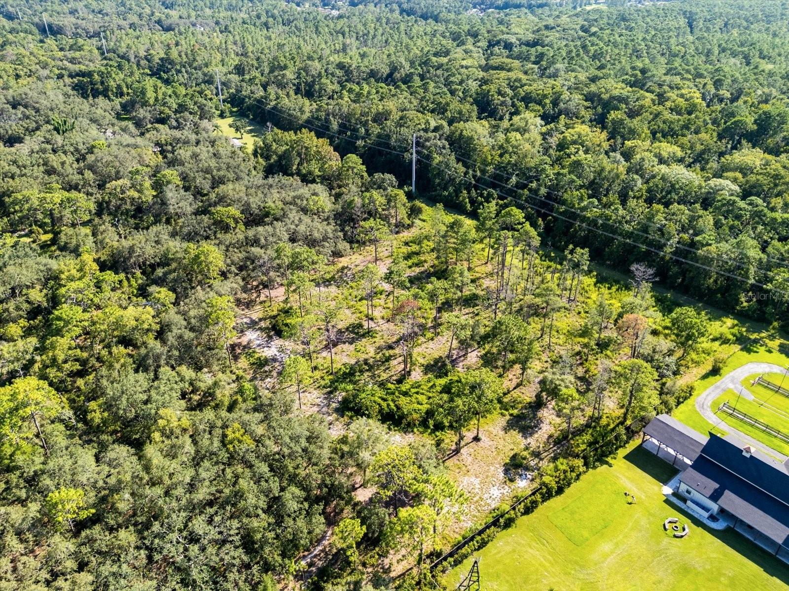 Image 6 of 9 For Markham Woods Road