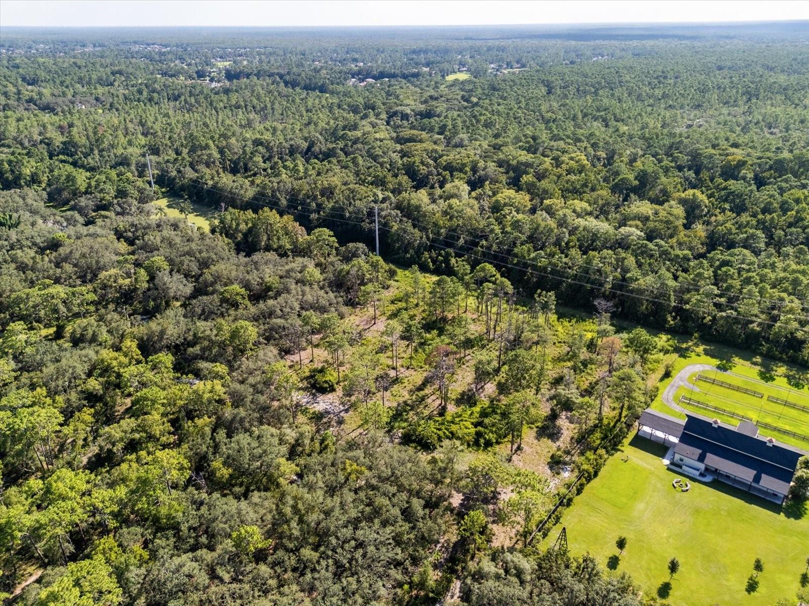 Image 7 of 9 For Markham Woods Road