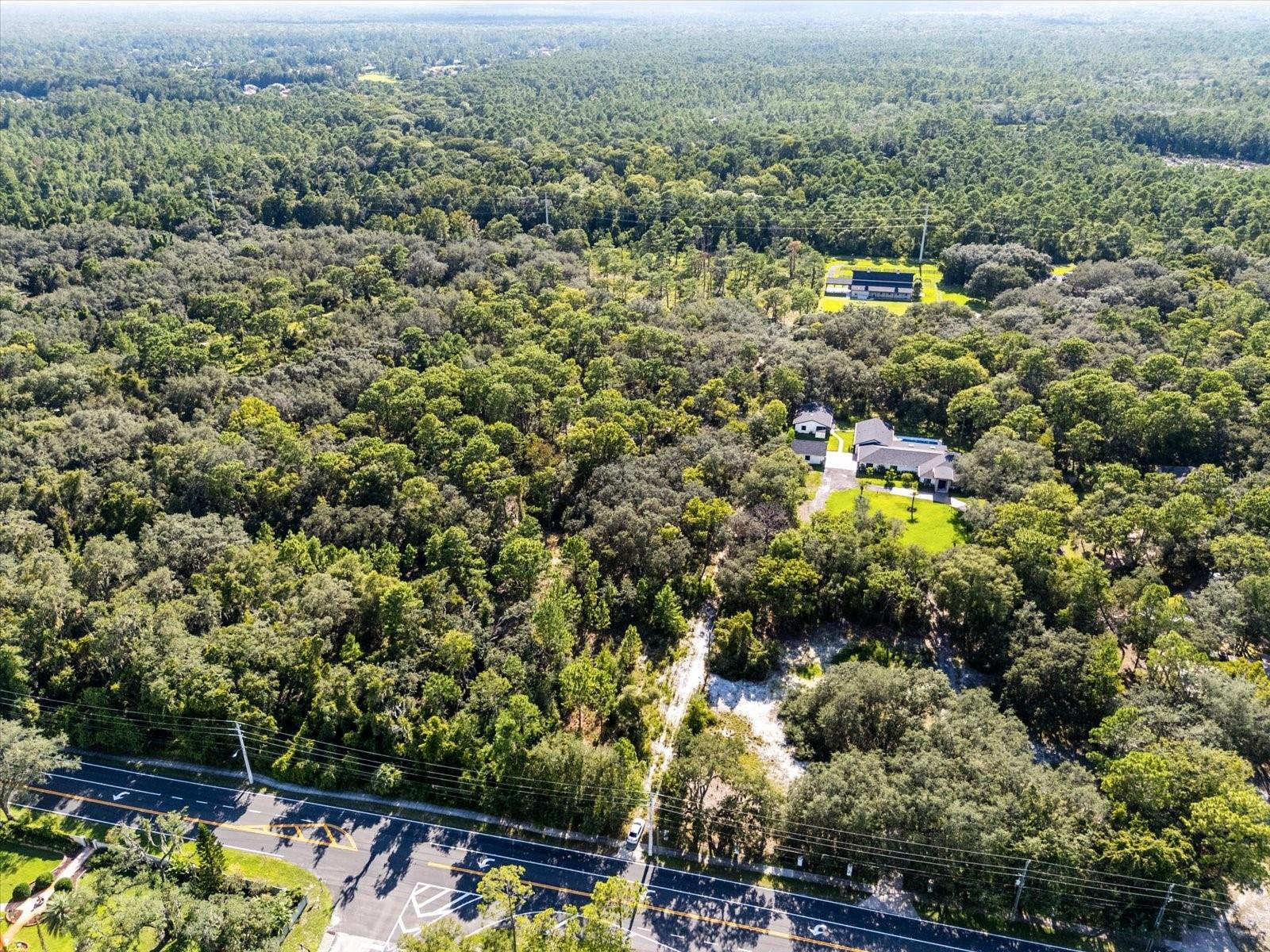 Image 8 of 9 For Markham Woods Road