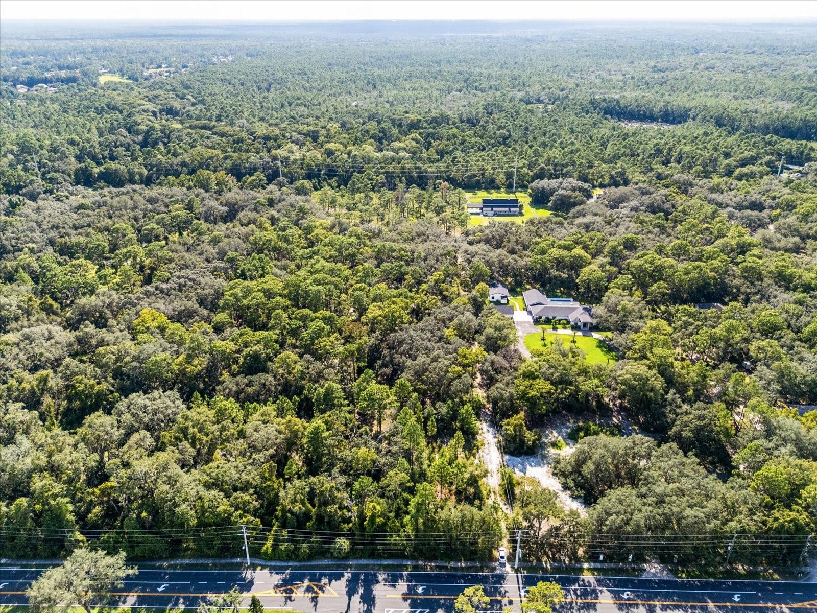 Image 9 of 9 For Markham Woods Road