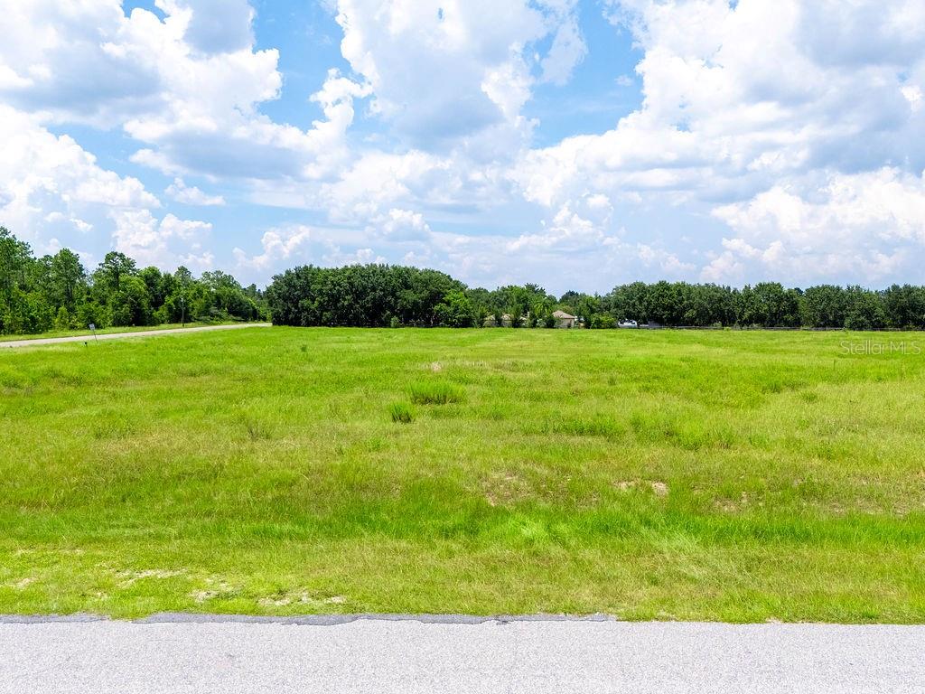 Details for  Indigo Rd  , GROVELAND, FL 34736