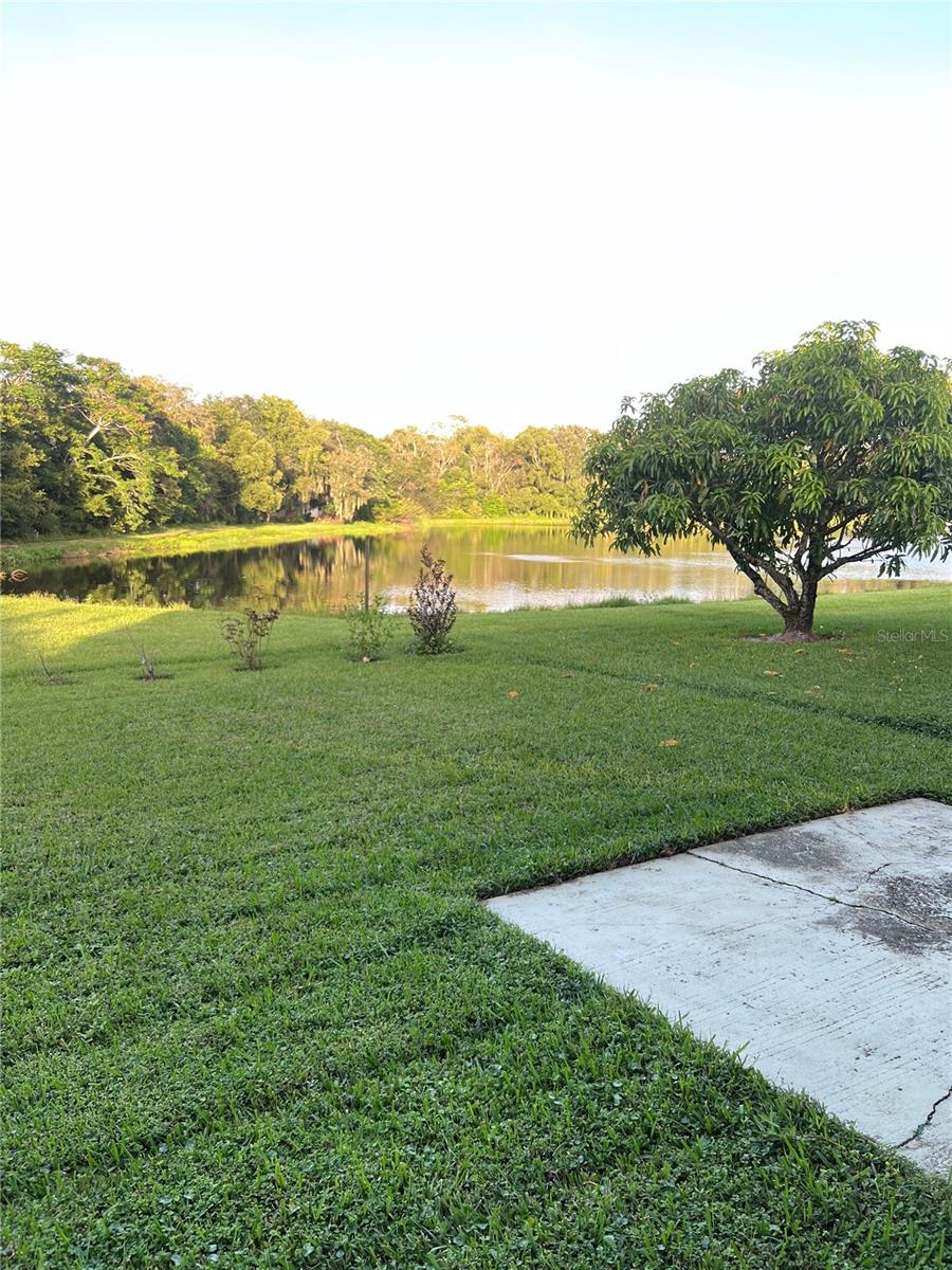 Image 14 of 14 For 216 Fairfield Drive