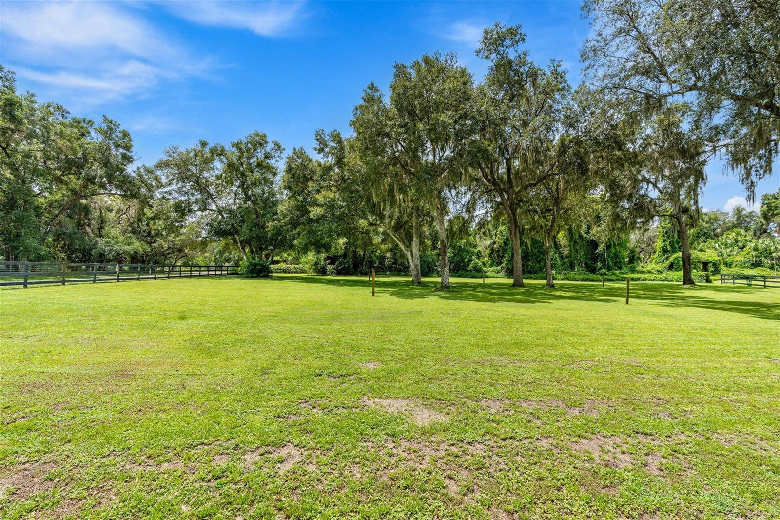 Image 81 of 91 For 800 Scott Road