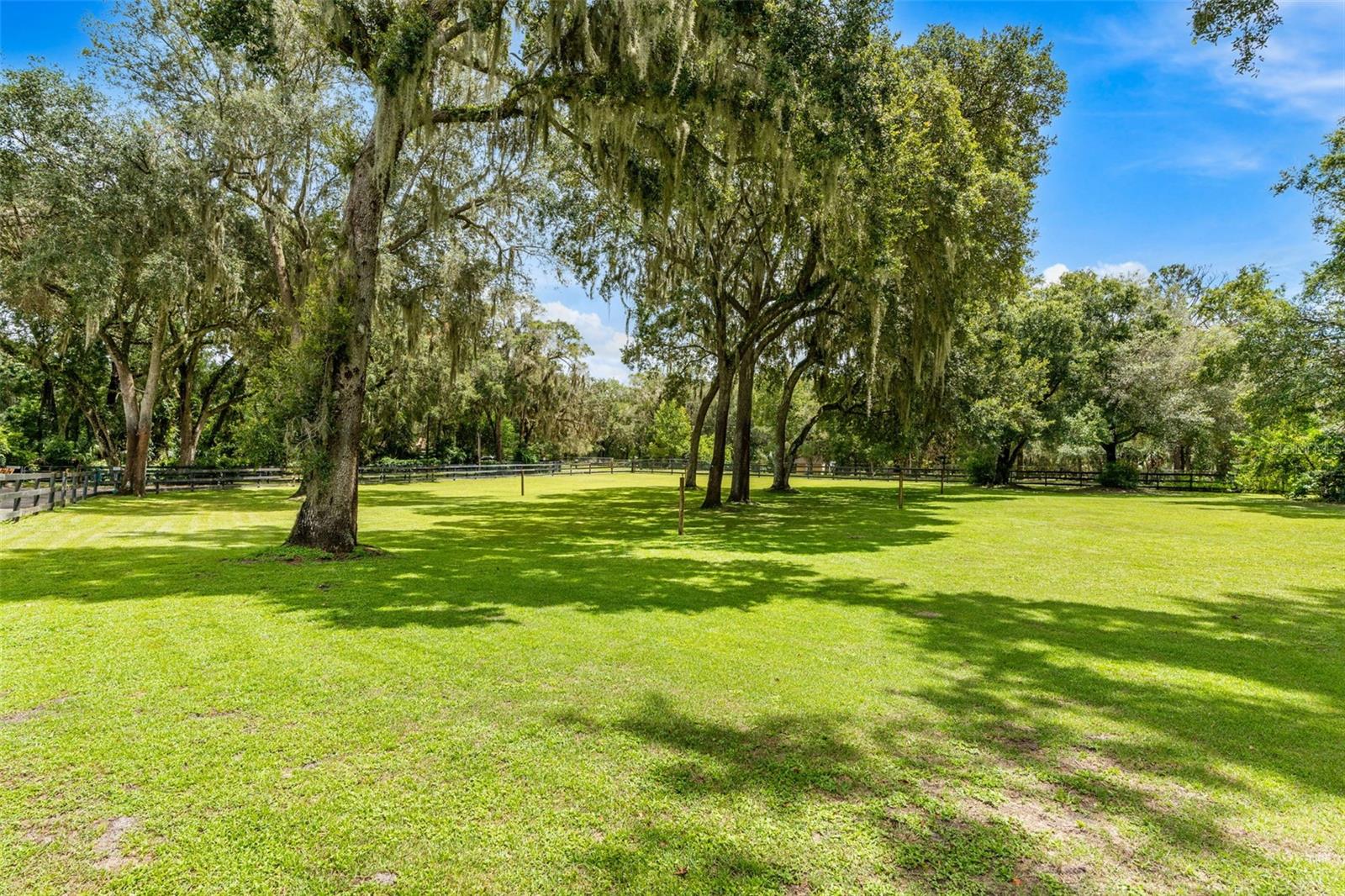 Image 83 of 91 For 800 Scott Road